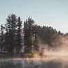 Ookuma Neko - Lake of Fog - Single